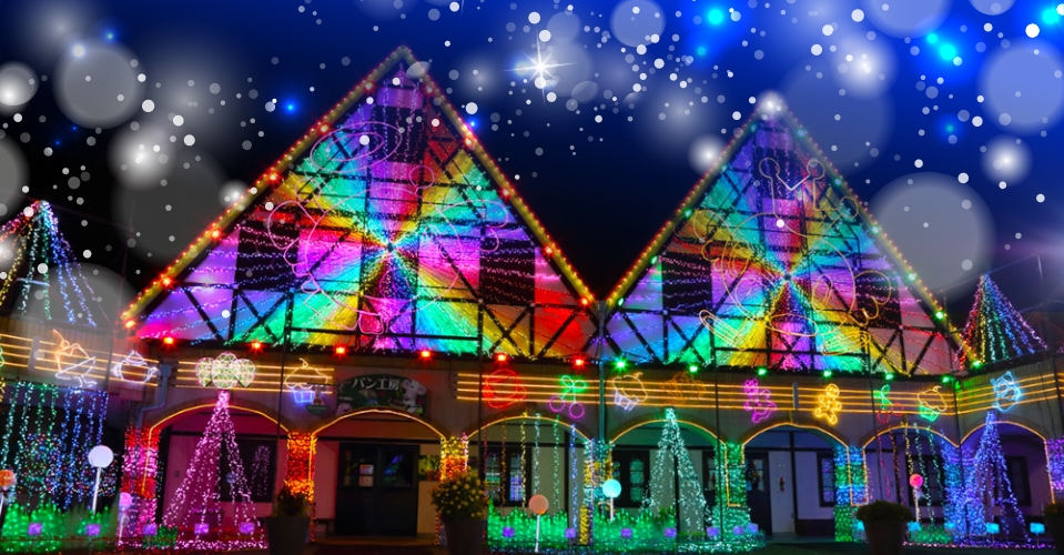 ドイツ村「Winter Illumination2021-2022」/千葉県