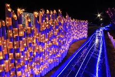 第10回光がつくる“Art”水郷桜イルミネーション/茨城県