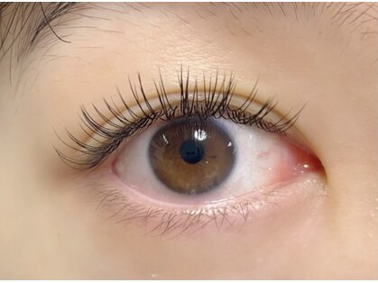 7．TERRA eyelash【テラ アイラッシュ】