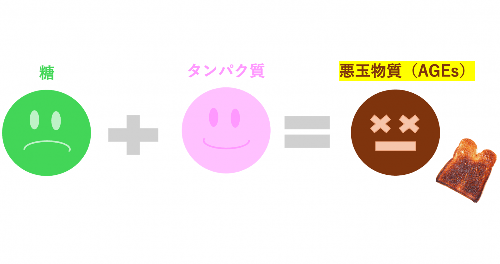 第1部：歯ぐきと「糖化」の関係性