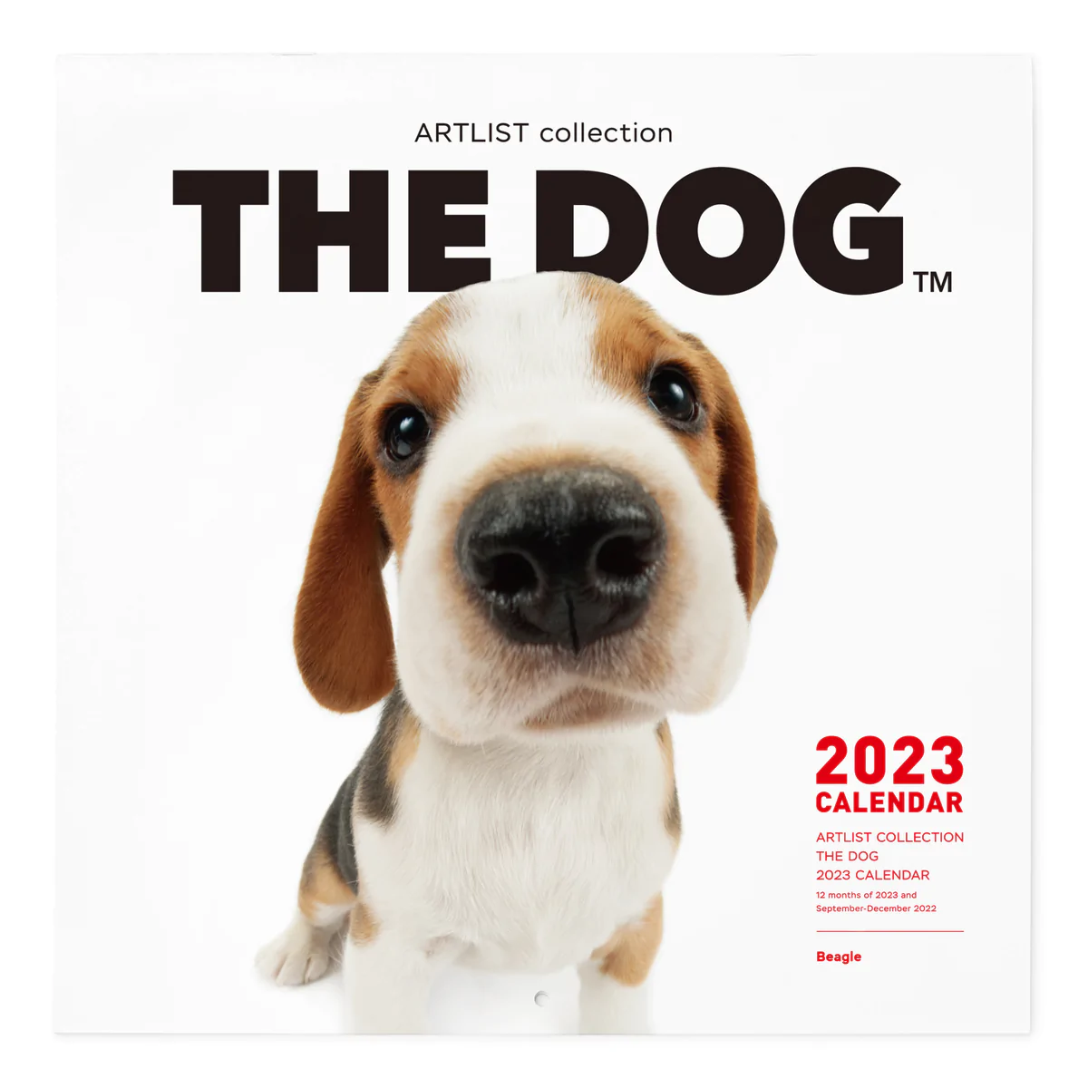 愛くるしい表情がたまらない♡『THE DOG』カレンダー