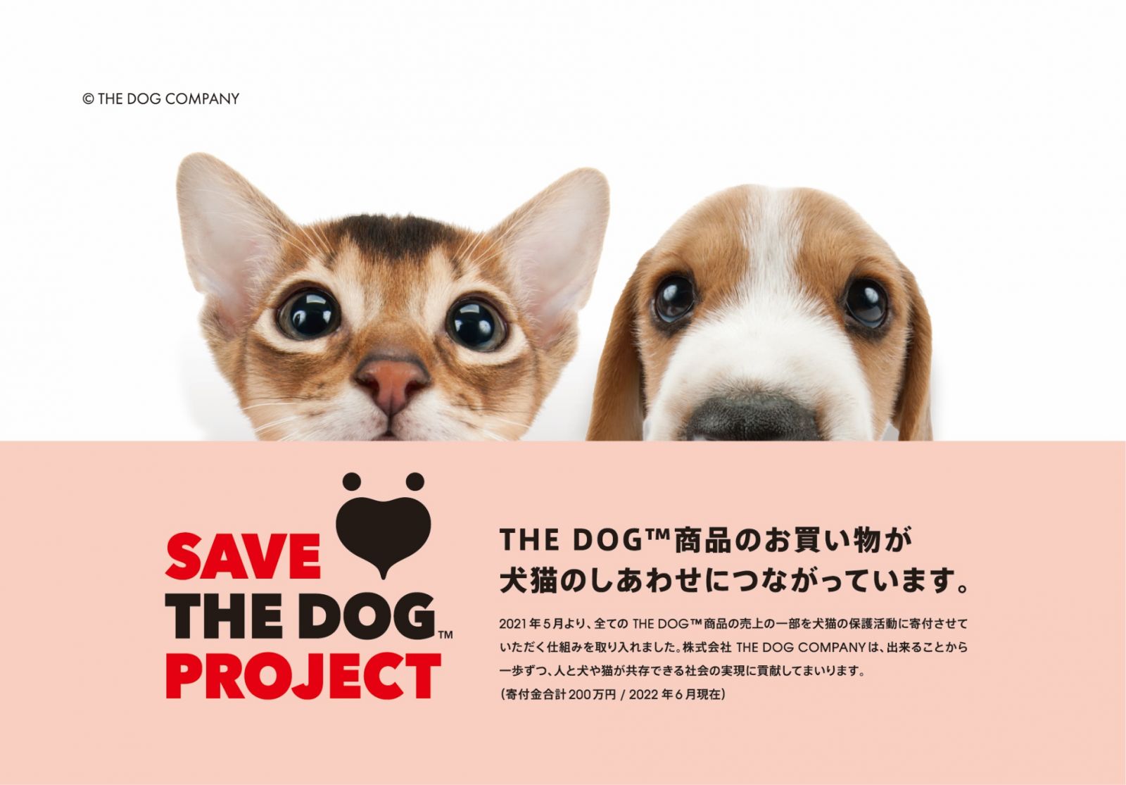 （２）SAVE THE DOG PROJECT