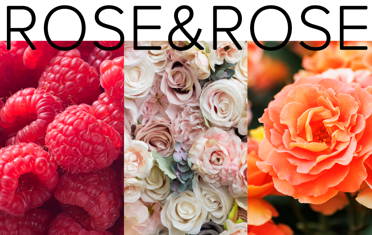 ROSE&ROSE