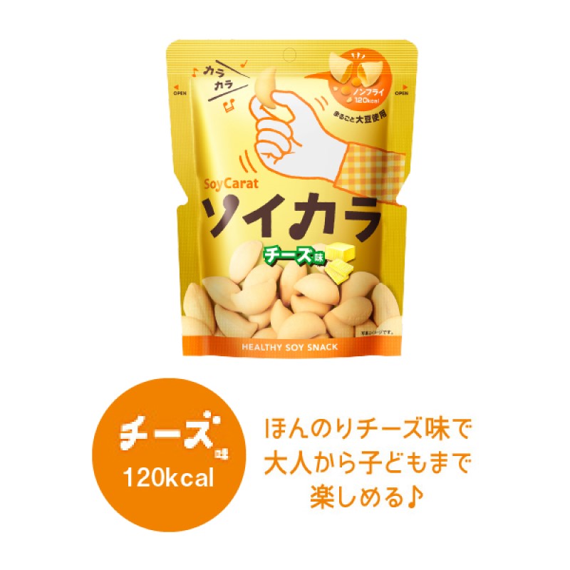 大塚製薬「ソイカラ チーズ味」