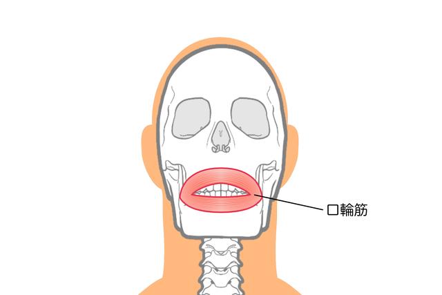 2.「口輪筋（こうりんきん）」を鍛える