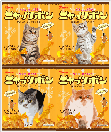猫好き、集まれ！】2月22日は猫の日。実は30年以上の歴史をもつ立派な